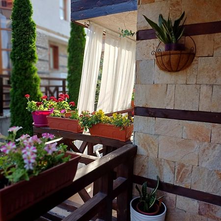 Mila Vip Apartment Bansko Esterno foto