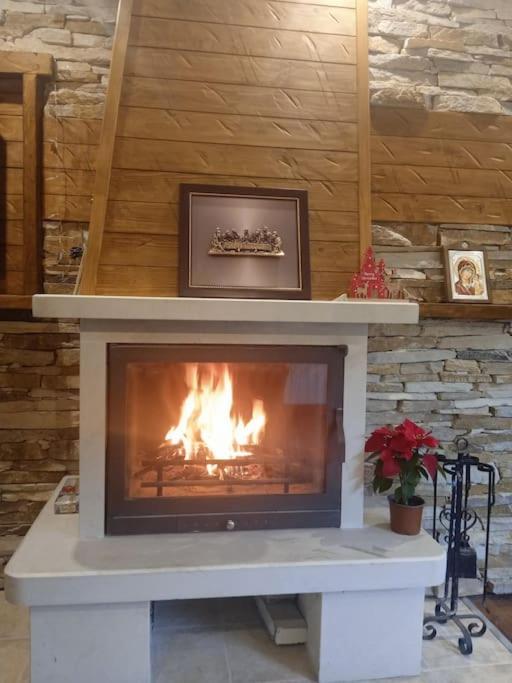 Mila Vip Apartment Bansko Esterno foto