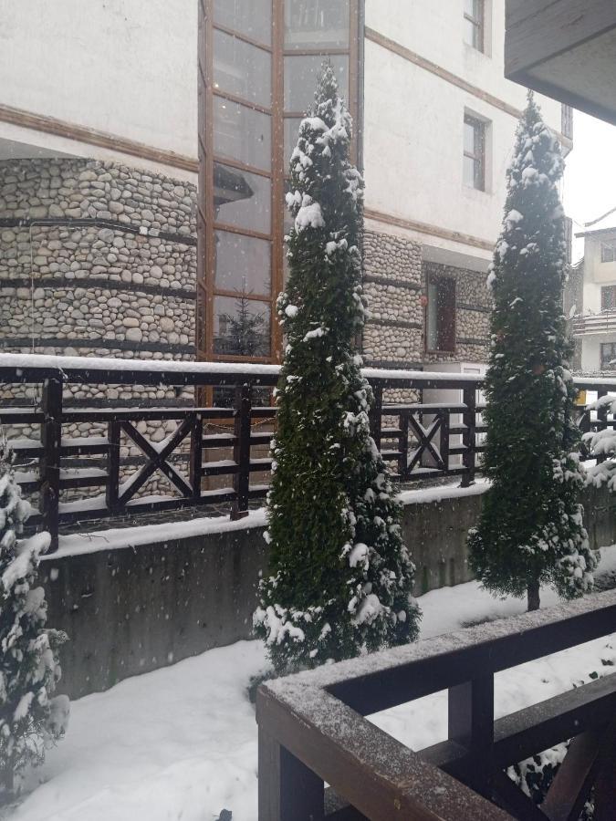Mila Vip Apartment Bansko Esterno foto